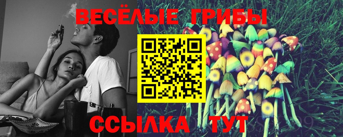 Псилоцибиновые грибы MAGIC MUSHROOMS  Вход с VPN  Йошкар-Ола 