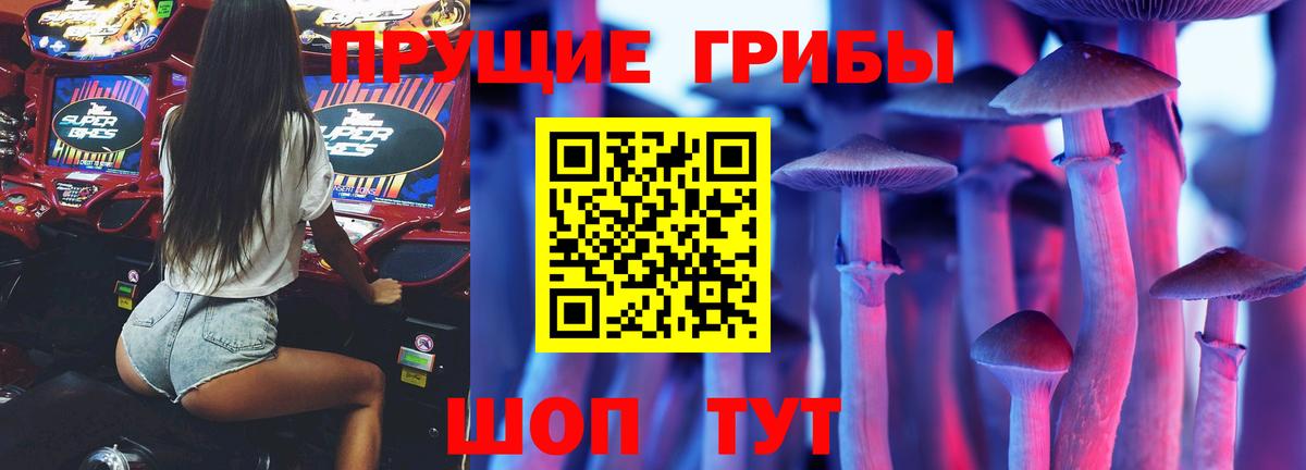 Галлюциногенные грибы Psilocybine cubensis Йошкар-Ола